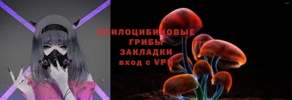 мдпв Горняк