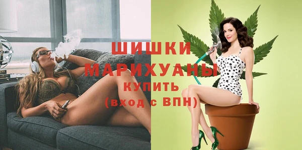 мдпв Горняк