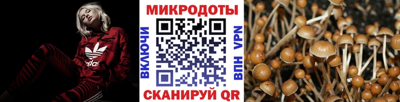 Псилоцибиновые грибы MAGIC MUSHROOMS hydra зеркало Южно-Сахалинск